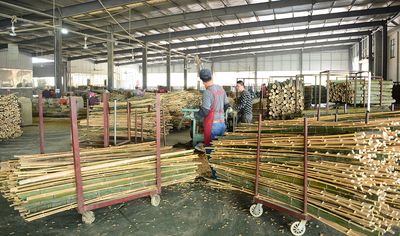Shenzhen Magic Bamboo Industrial Co., Ltd. Produktionslinie des Herstellers