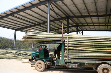 Shenzhen Magic Bamboo Industrial Co., Ltd. Produktionslinie des Herstellers